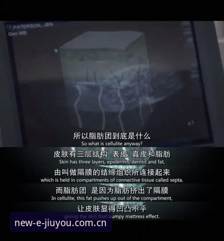 缔造新章手机网页版 6个你该知道的